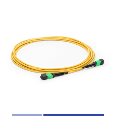 Αγορά 12 Core MTP® Fiber Optic Patch Cord Female Single-mode G652D 10m Φυτικά καλώδια σύνδεσης OFNP τύπου Β σε απευθείας σύνδεση κατασκευή